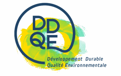 Nos collaborateurs se forment au DDQE !