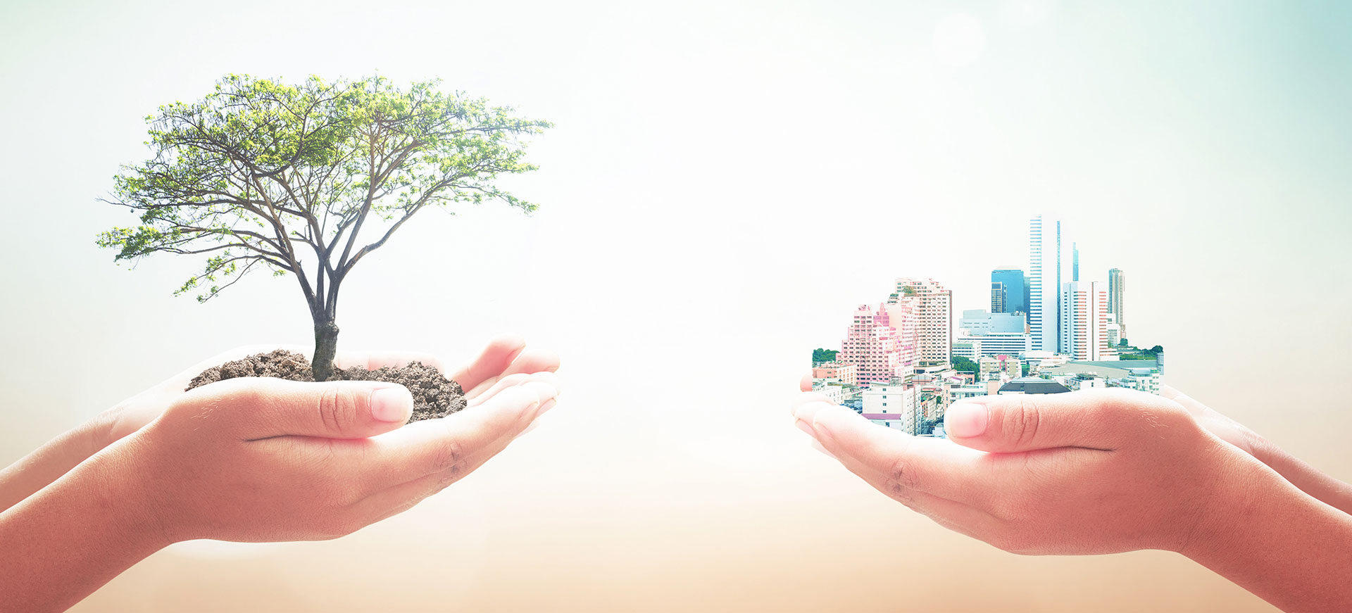 qualite-environnement